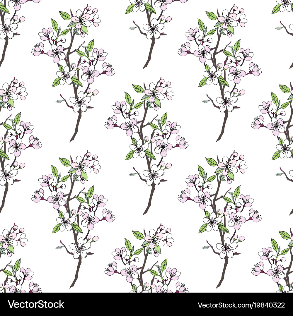 Seamless pattern with sakura vector image