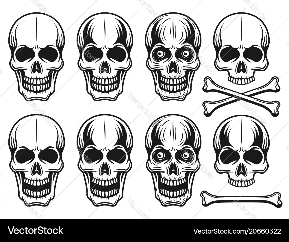 Set of different variants skulls elements Set of different variants skulls elements vector image