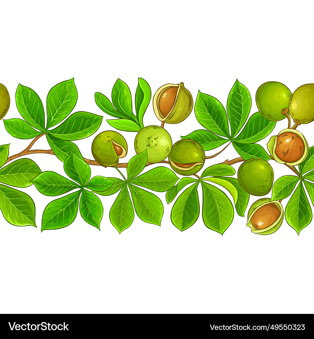 Mongongo branches pattern Mongongo branches pattern vector image