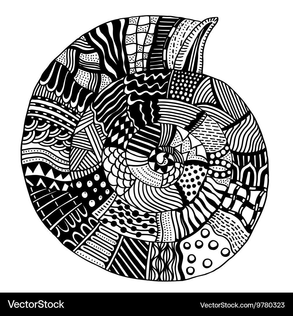 Patterned seashell vector image