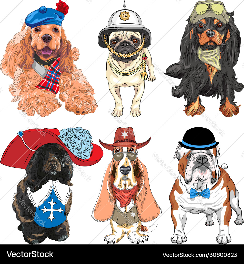 Hipster dog clothes discount
