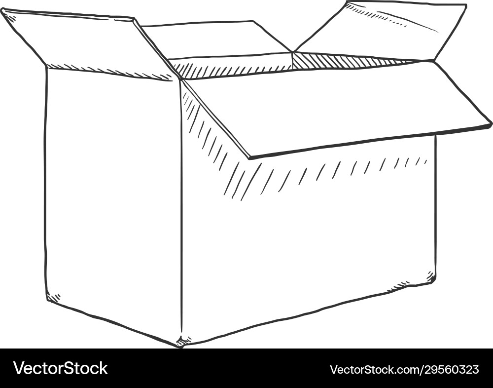 Sketch open cardboad box Vector Image