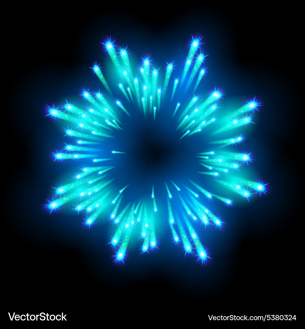 Festive patterned firework bursting in various Vector Image