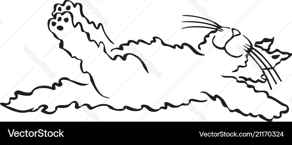 Lazy Cat on Floor vector image
