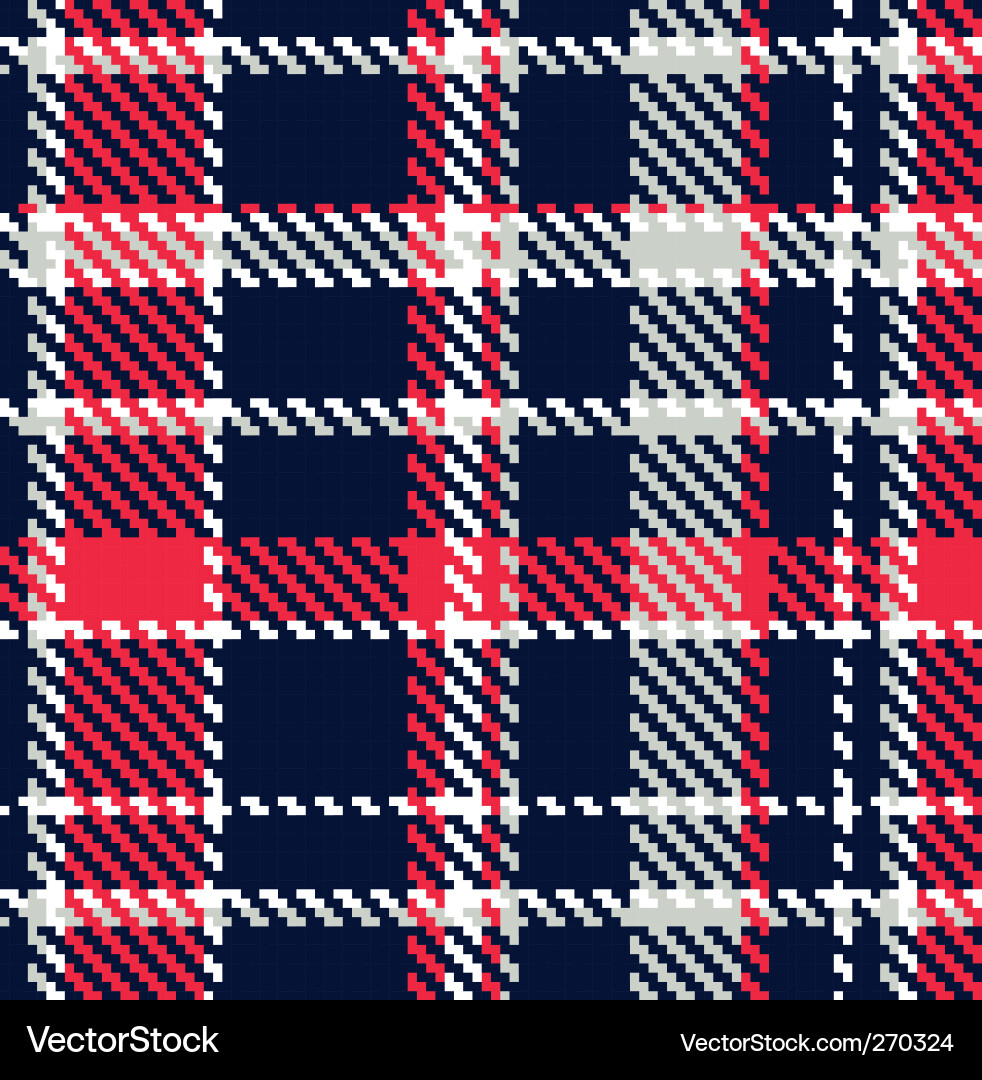 Red and White Checkered Pattern vector image