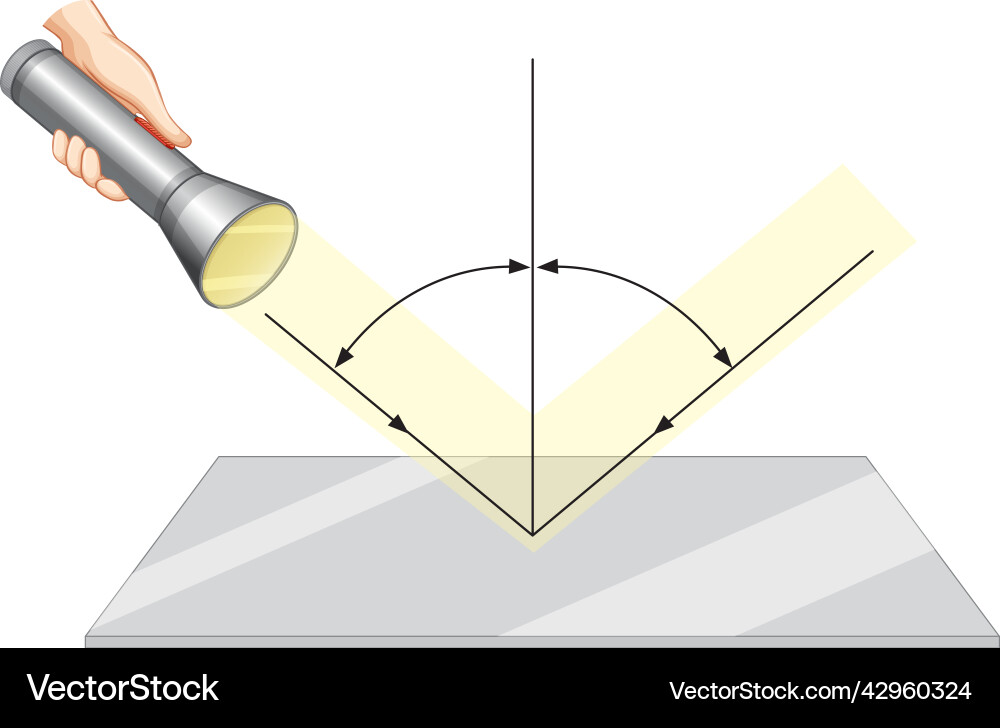 Reflection of light for science learning Reflection of light for science learning vector image