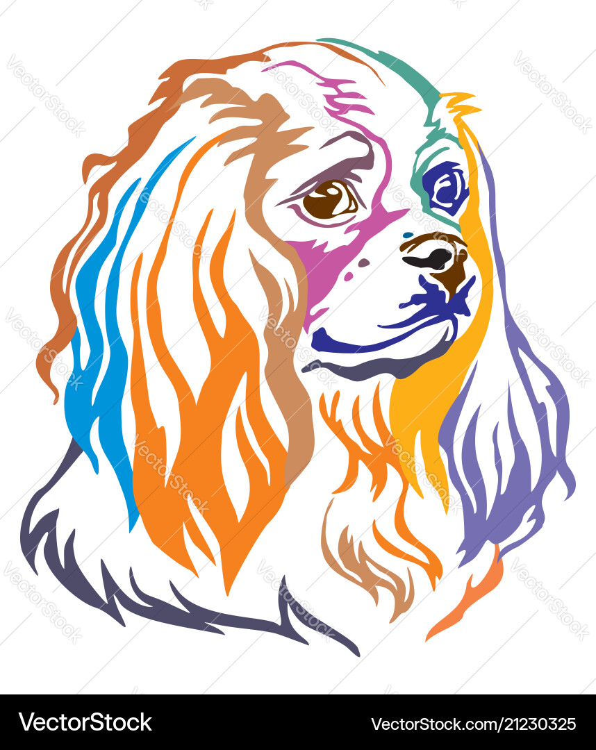 Buntes dekoratives Porträt des Hundes Cavalier König Buntes dekoratives Porträt des Hundes Cavalier König vektorbild