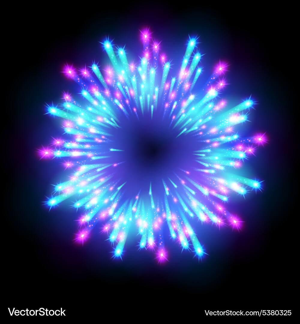 Festive patterned firework bursting in various vector image