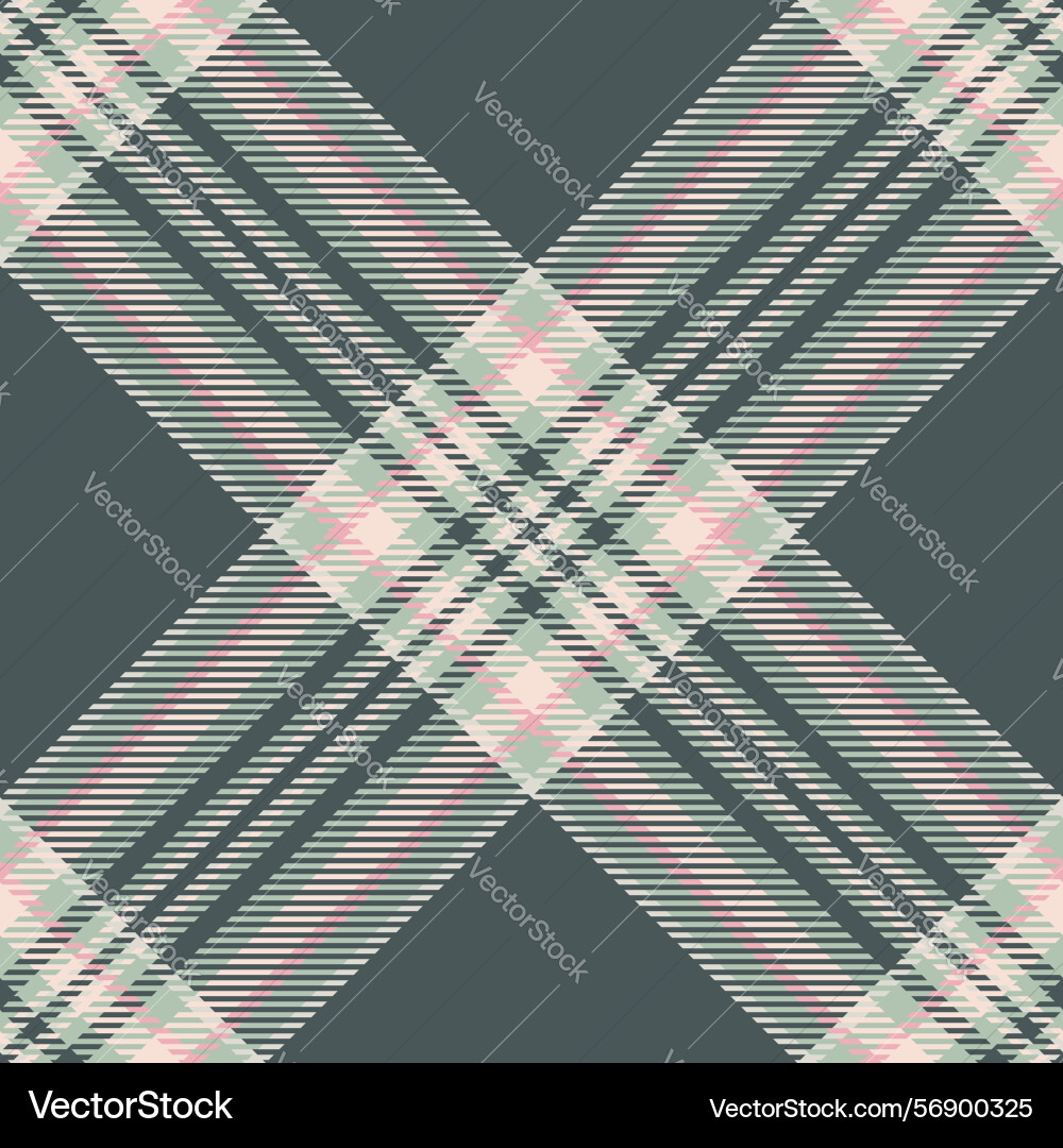 Stylish plaid pattern with intersecting stripes vector image