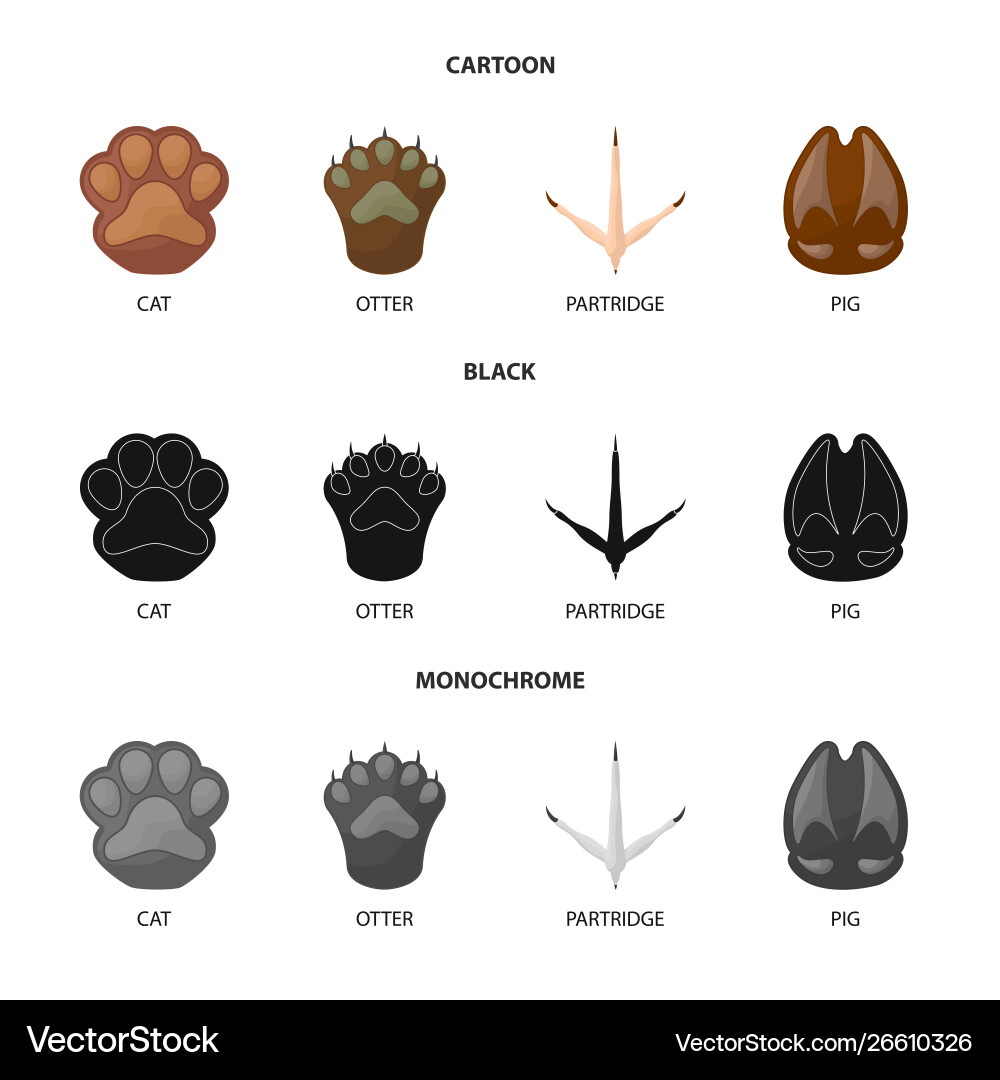 Isolated object step and walk symbol Isolated object step and walk symbol Vector Image