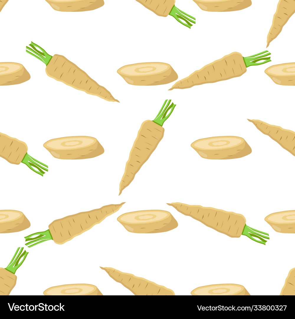 On theme pattern plant parsnip On theme pattern plant parsnip vector image