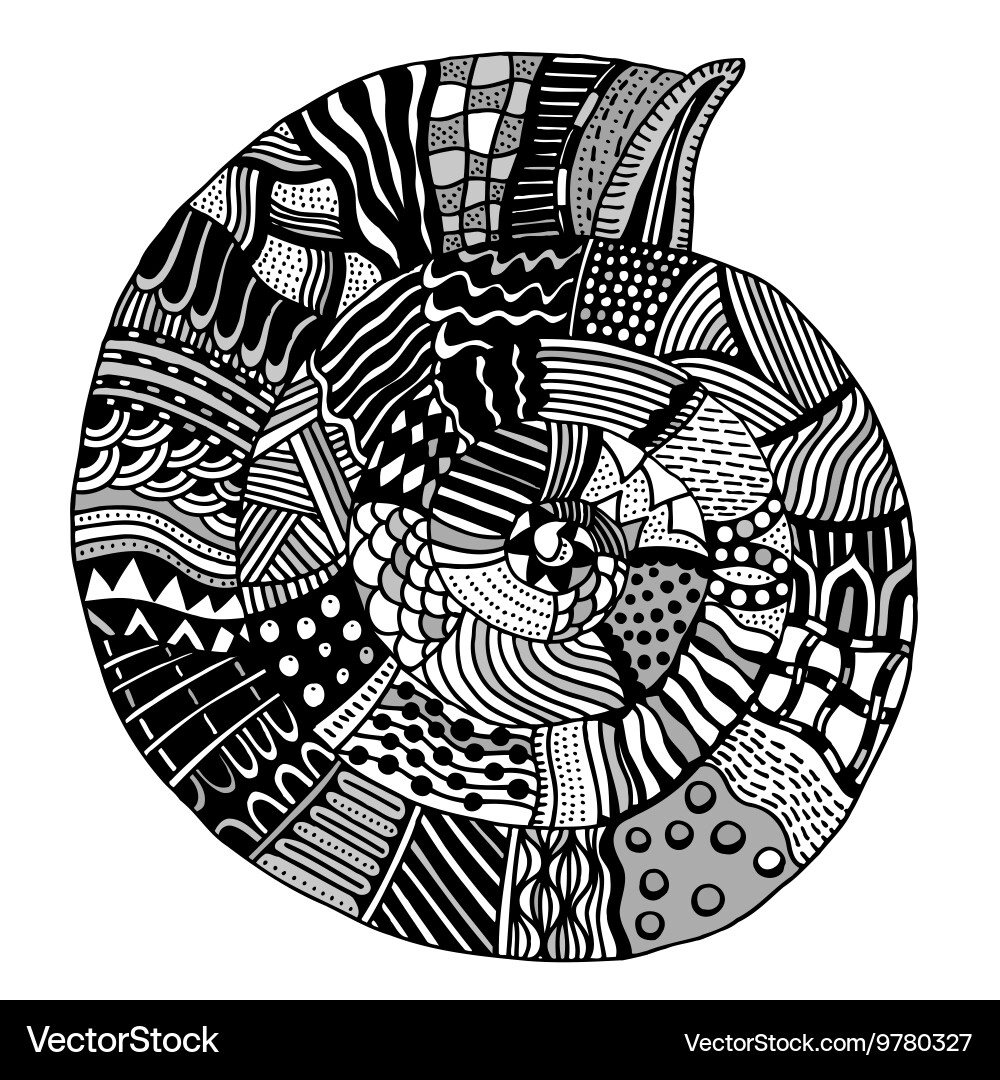 Patterned seashell vector image
