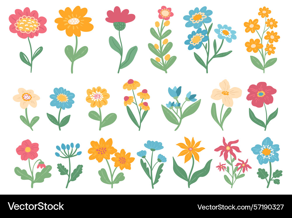 Set of spring hand drawn flowers romantic Vector Image