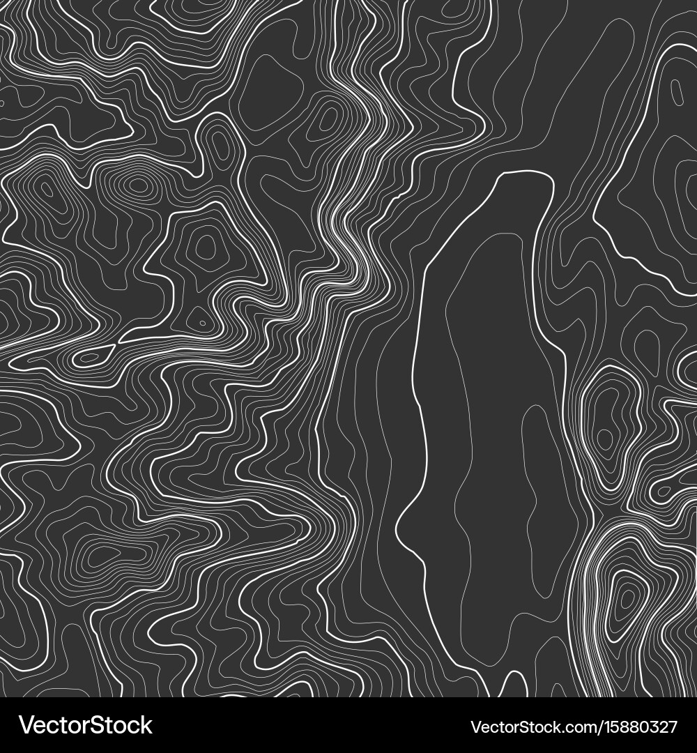 Topographic map background with space for copy vector image