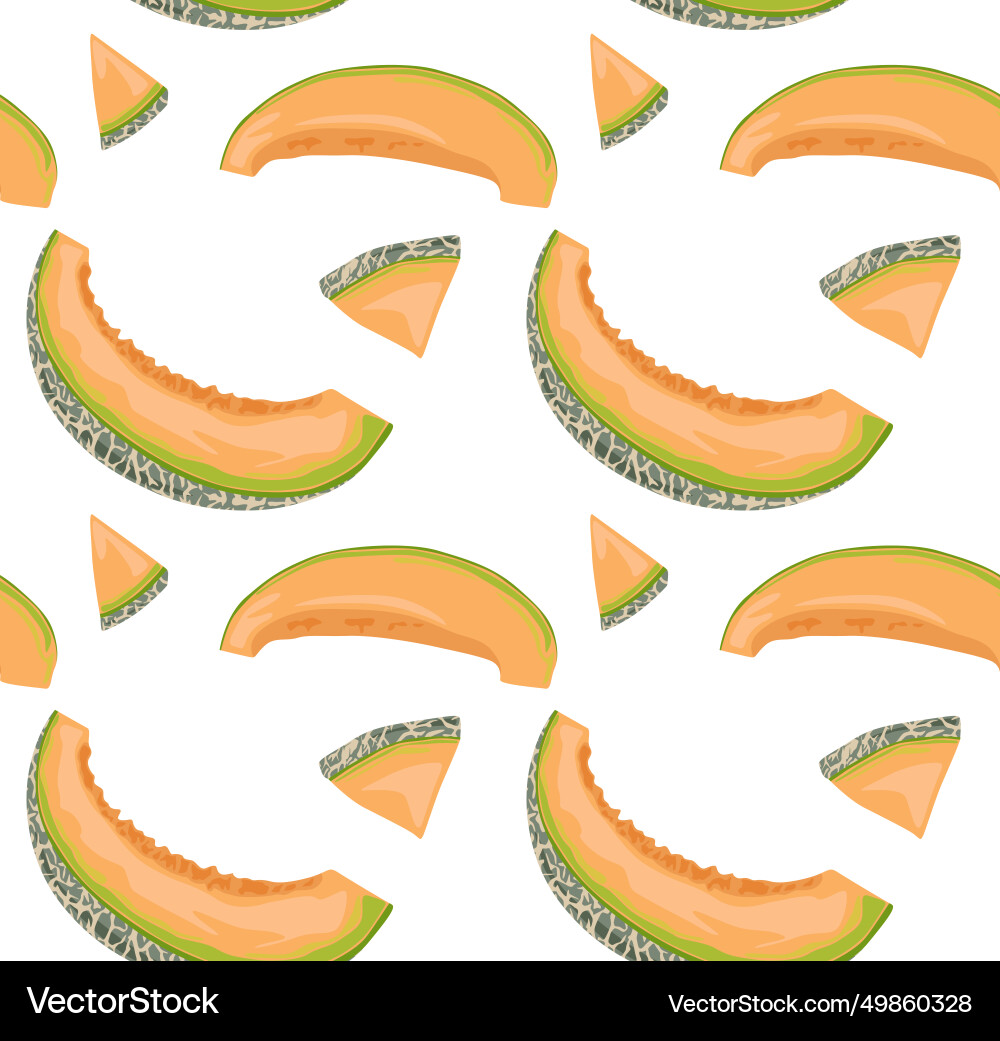 Melon slices are semicircular and triangular Vector Image