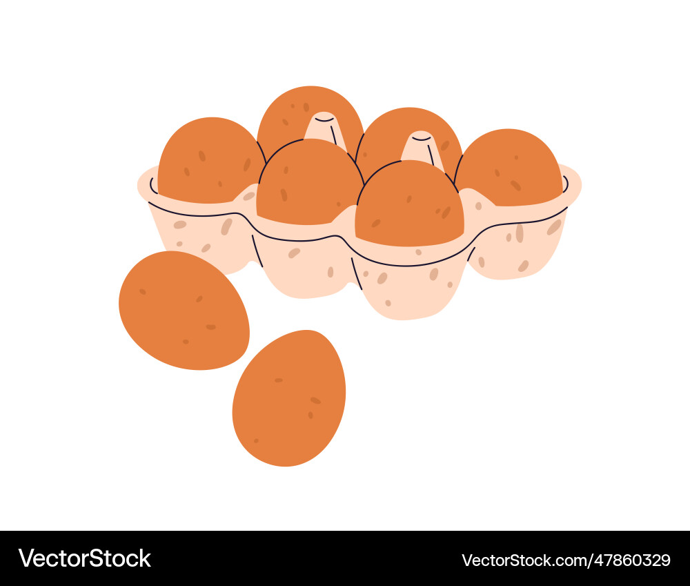 Chicken eggs in cardboard tray whole fresh raw Chicken eggs in cardboard tray whole fresh raw vector image
