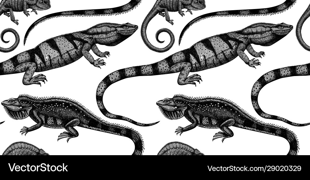 Exotic Reptile Seamless Pattern Vector Image