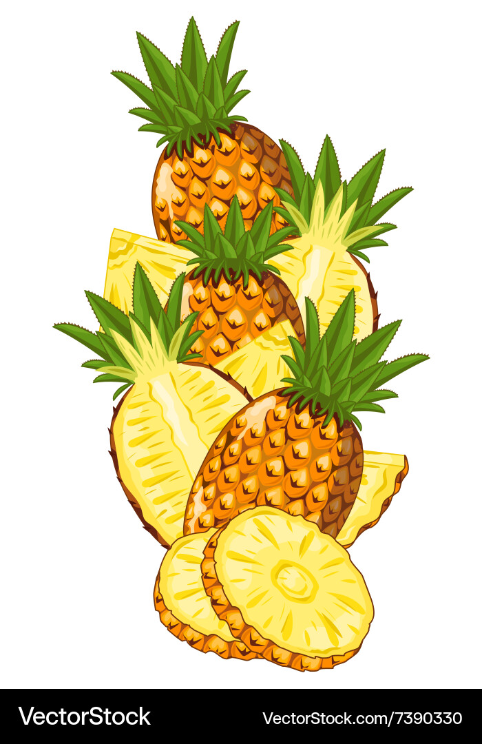 Pineapple isolated composition Royalty Free Vector Image