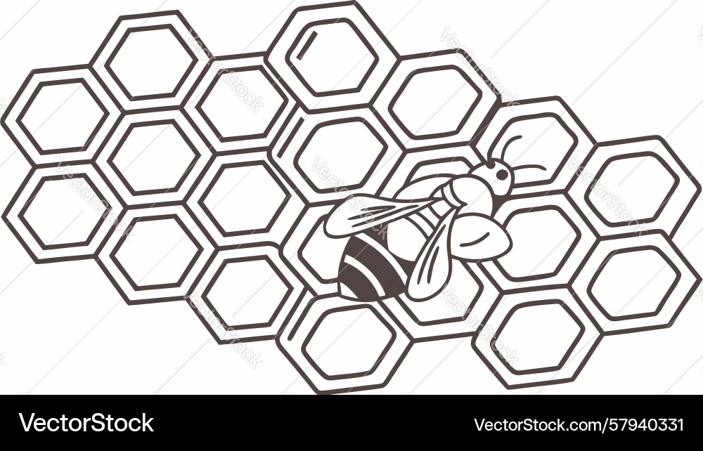 Hexagonal Honeycomb Pattern Vector Image
