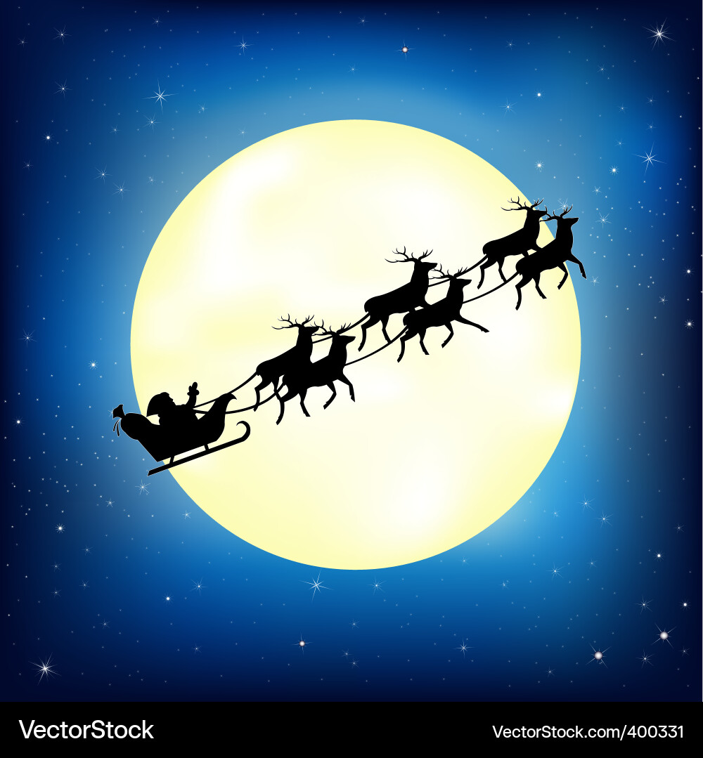 Winter Night Sleigh with Santa Vector Image