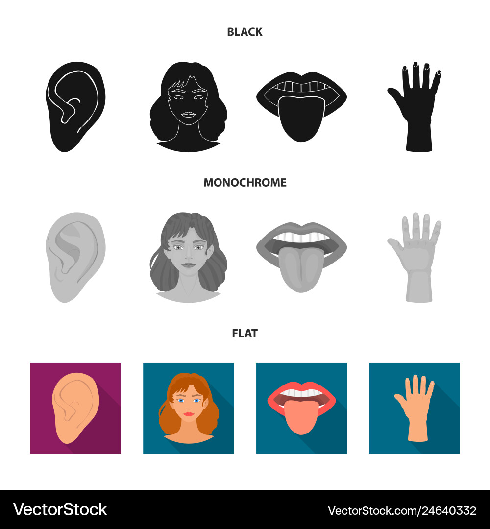 Design of body and part sign set Vector Image