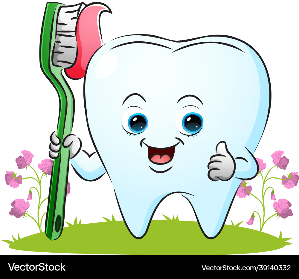 Tooth is holding the toothbrush Tooth is holding the toothbrush Vector Image