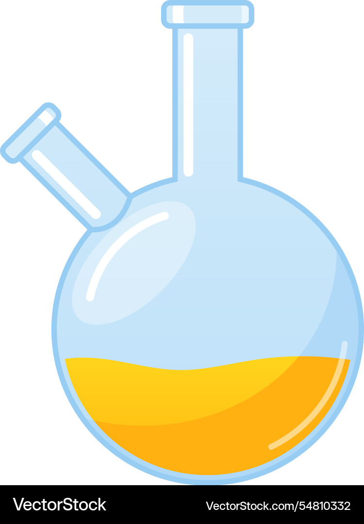 Two necked round bottom flask vector image
