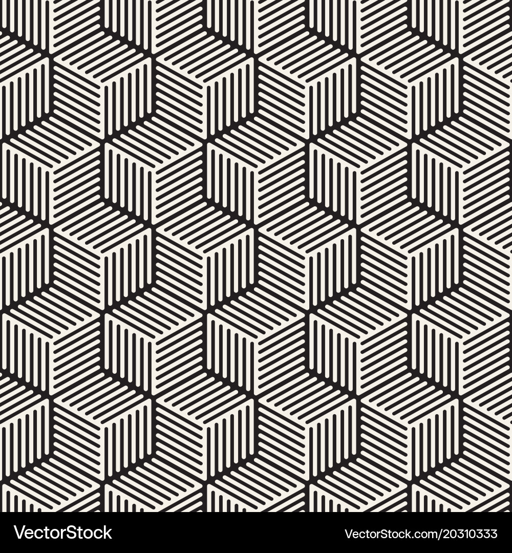 Monochrome Hexagonal Stripes Pattern vector image