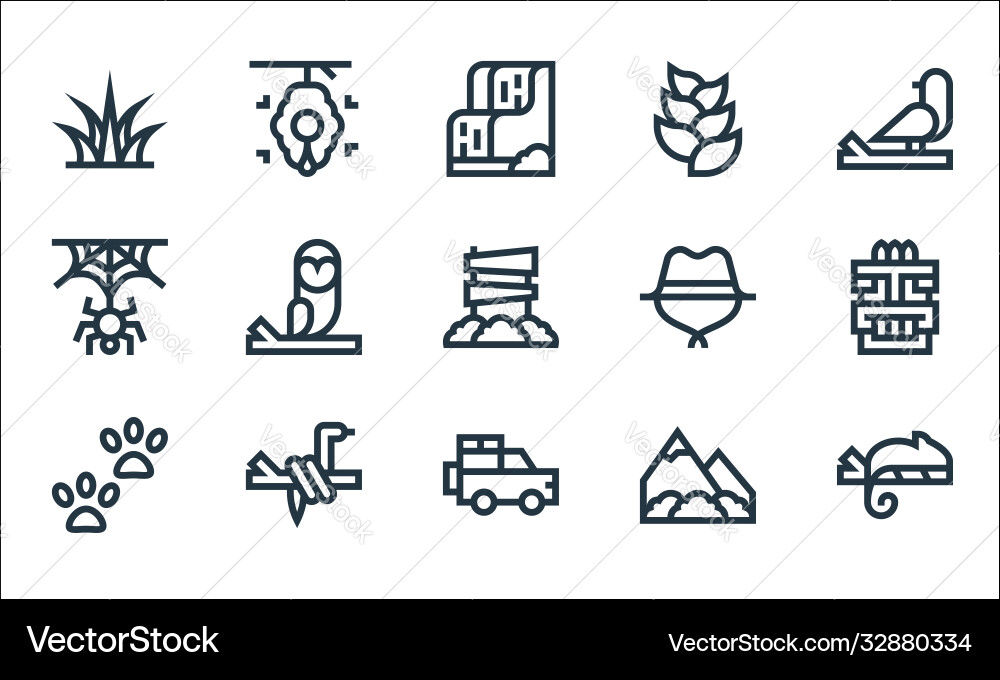 Jungle line icons linear set quality vector image