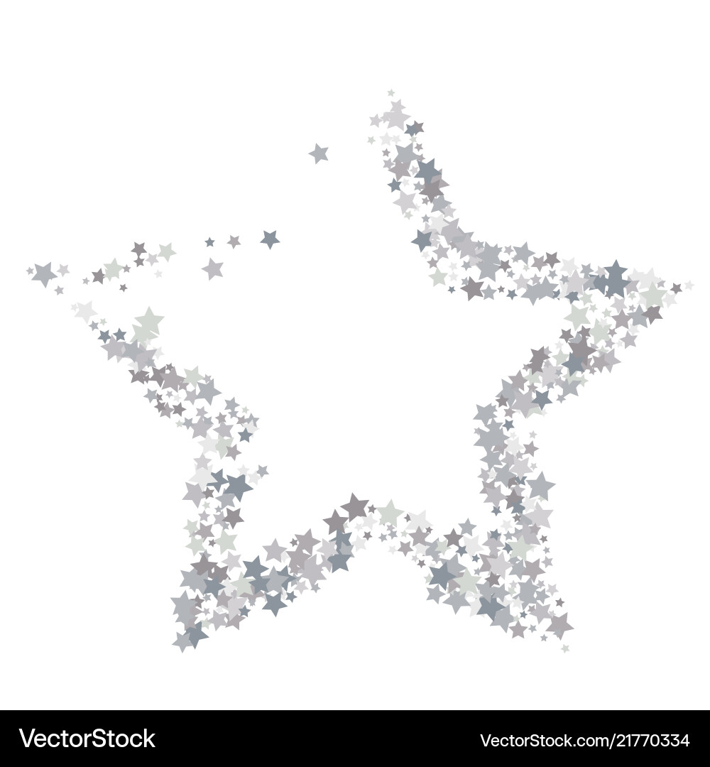 Silver star banner simple form template card vip Silver star banner simple form template card vip vector image