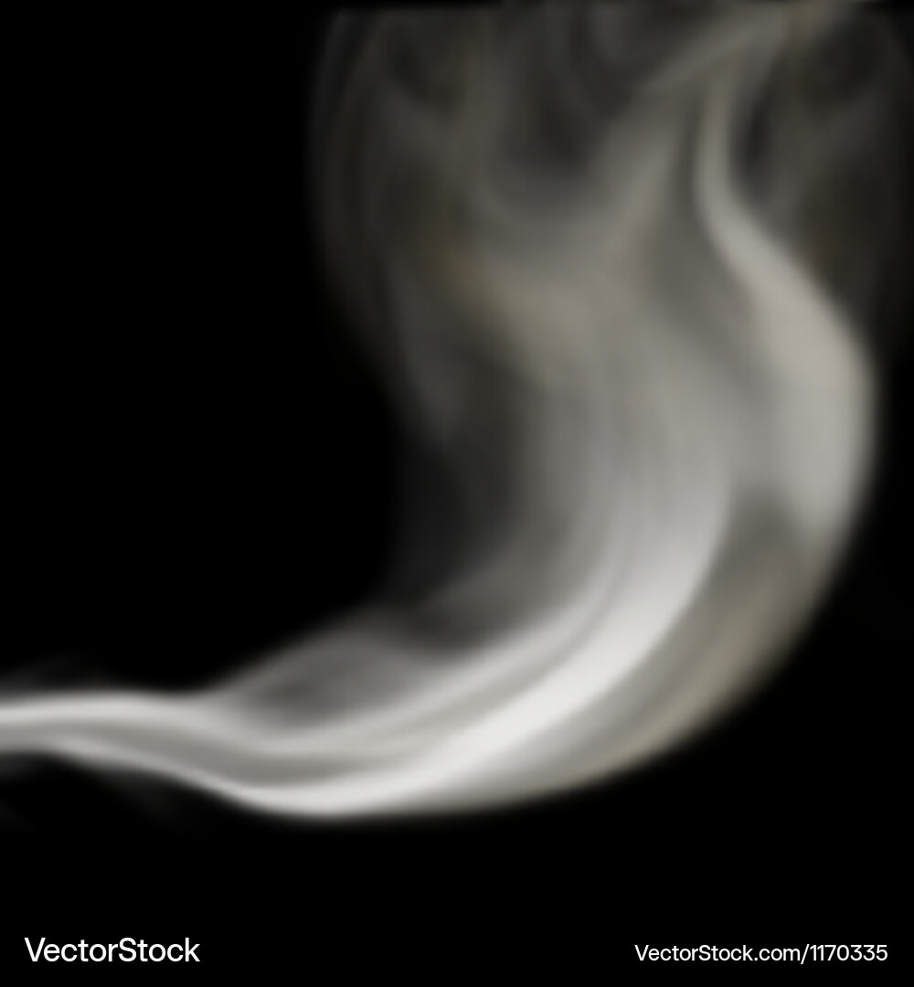 Ethereal Smoke Swirl Vector Image