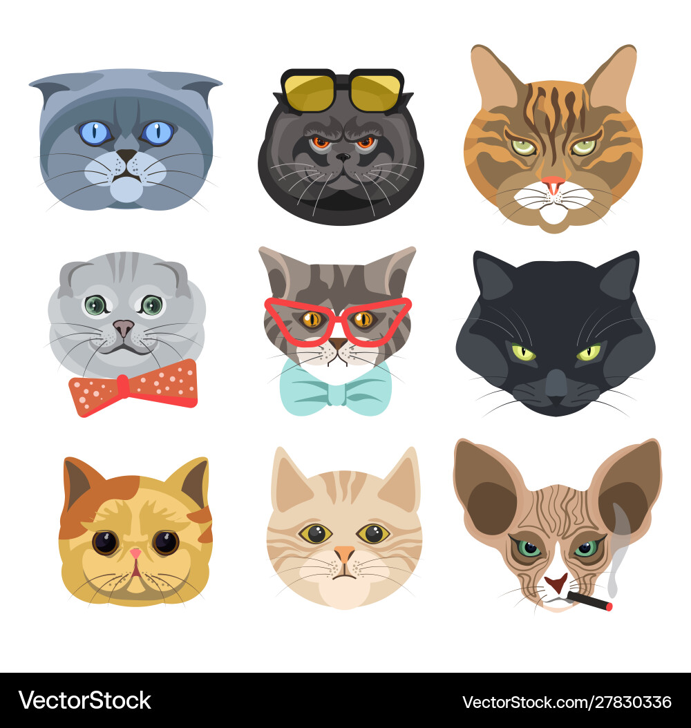 Cats faces wearing glasses and bows or smoking Cats faces wearing glasses and bows or smoking vector image