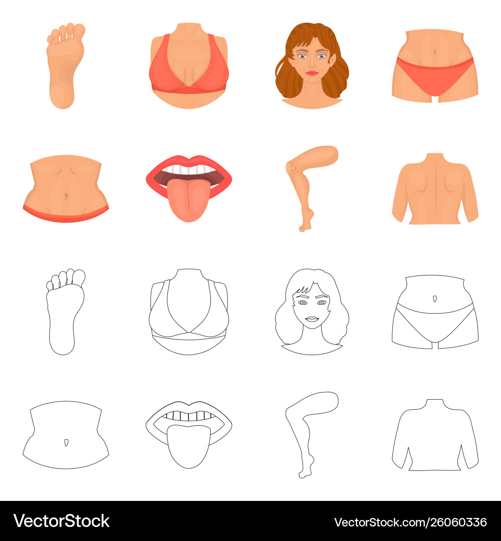 Design body and part icon collection Design body and part icon collection vector image