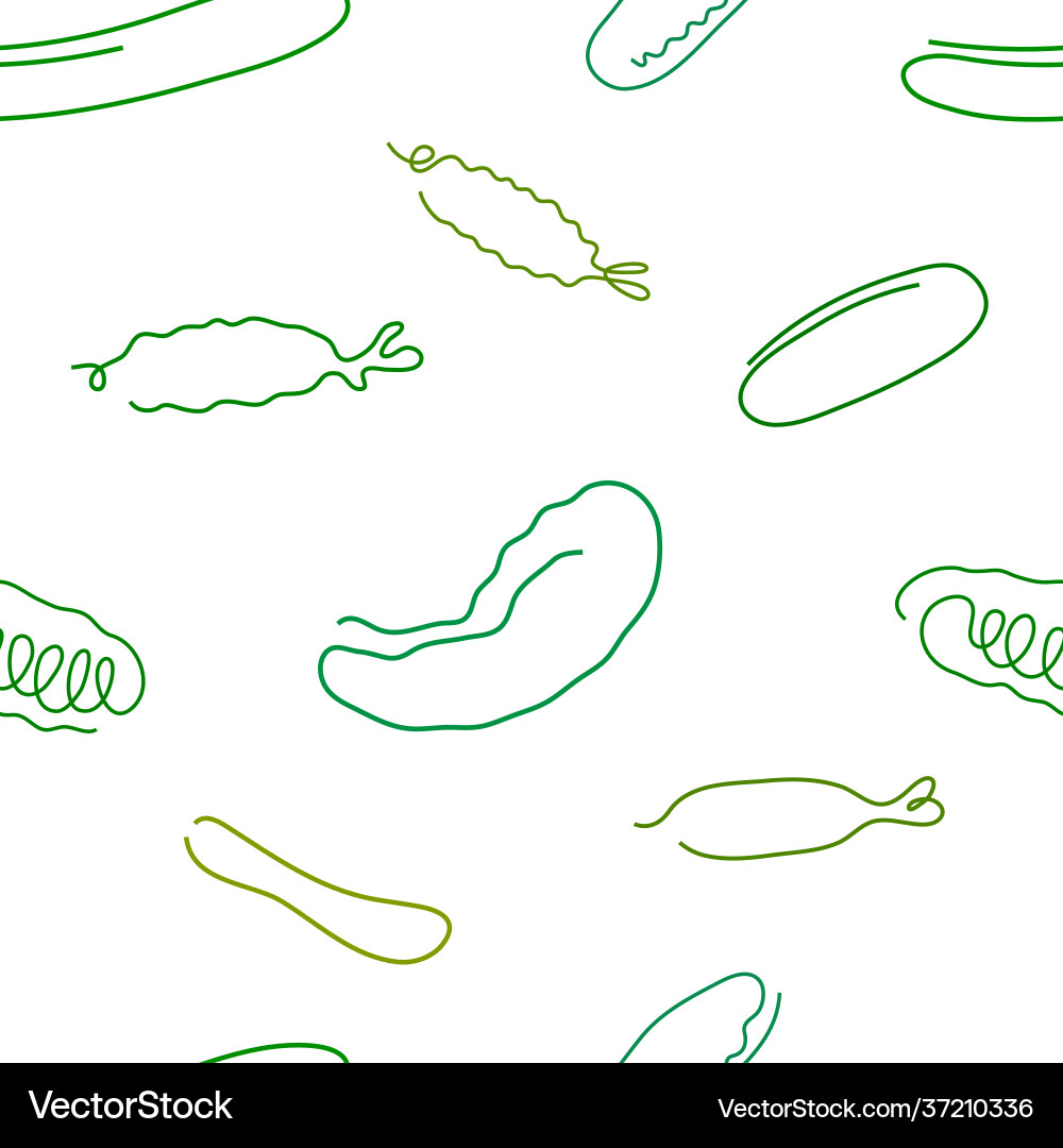 One line art style cucumber seamless pattern One line art style cucumber seamless pattern vector image