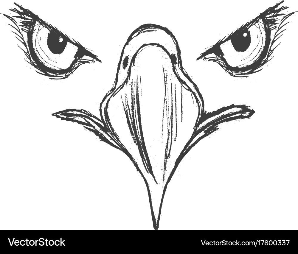 Eagle Head Portrait Royalty Free Vector Image - VectorStock