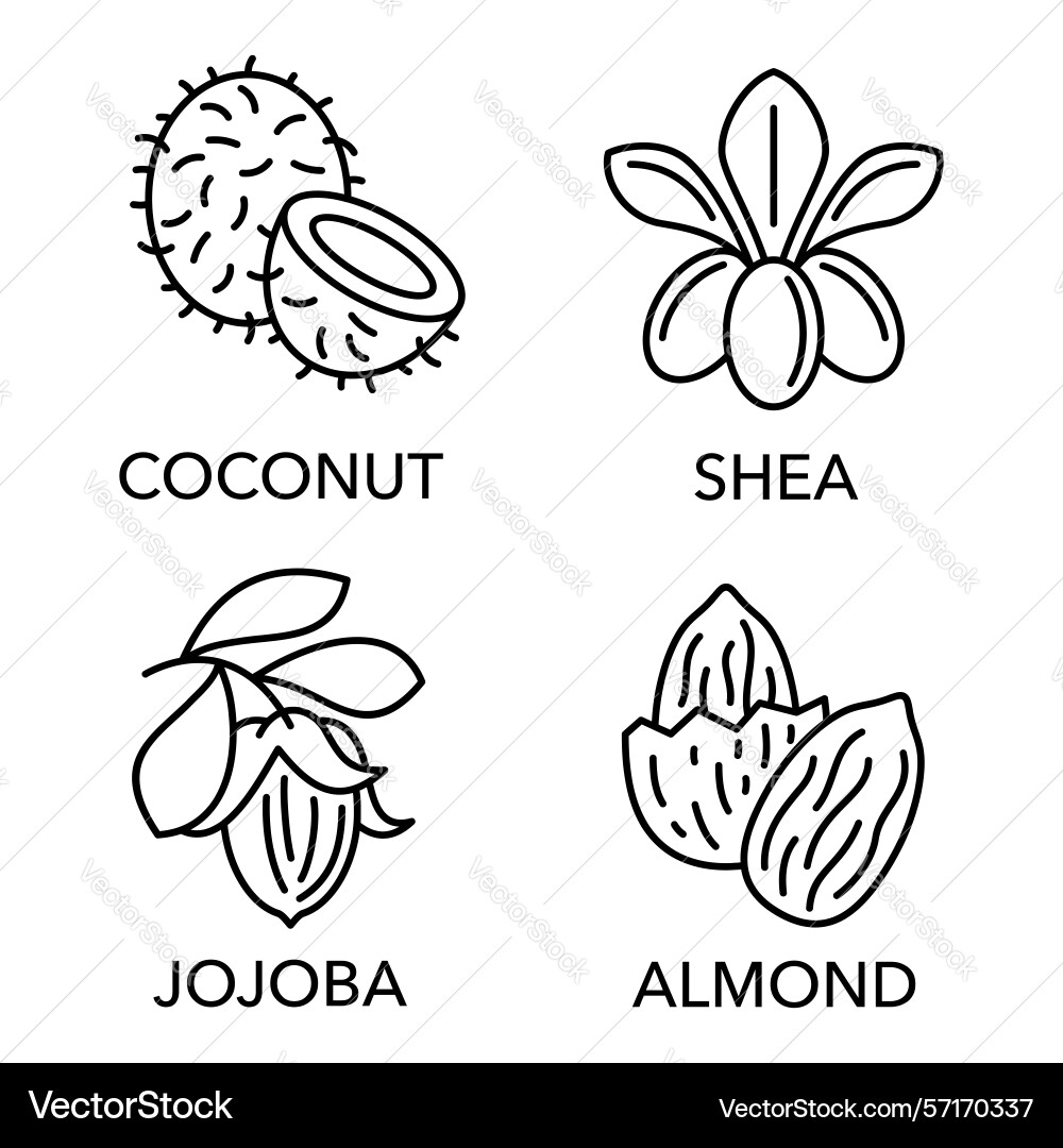 Essential oils set of icons in thin line Essential oils set of icons in thin line vector image