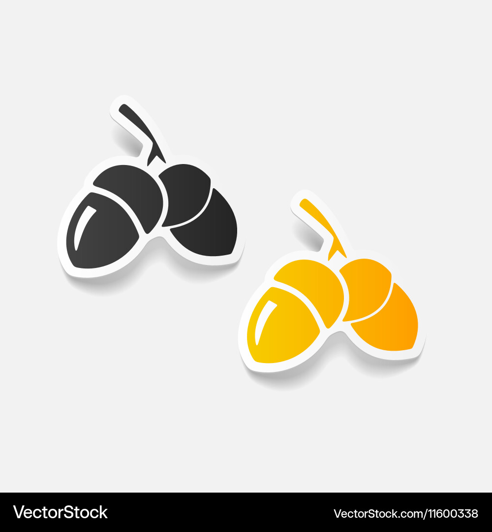 Realistic design element Vector Image