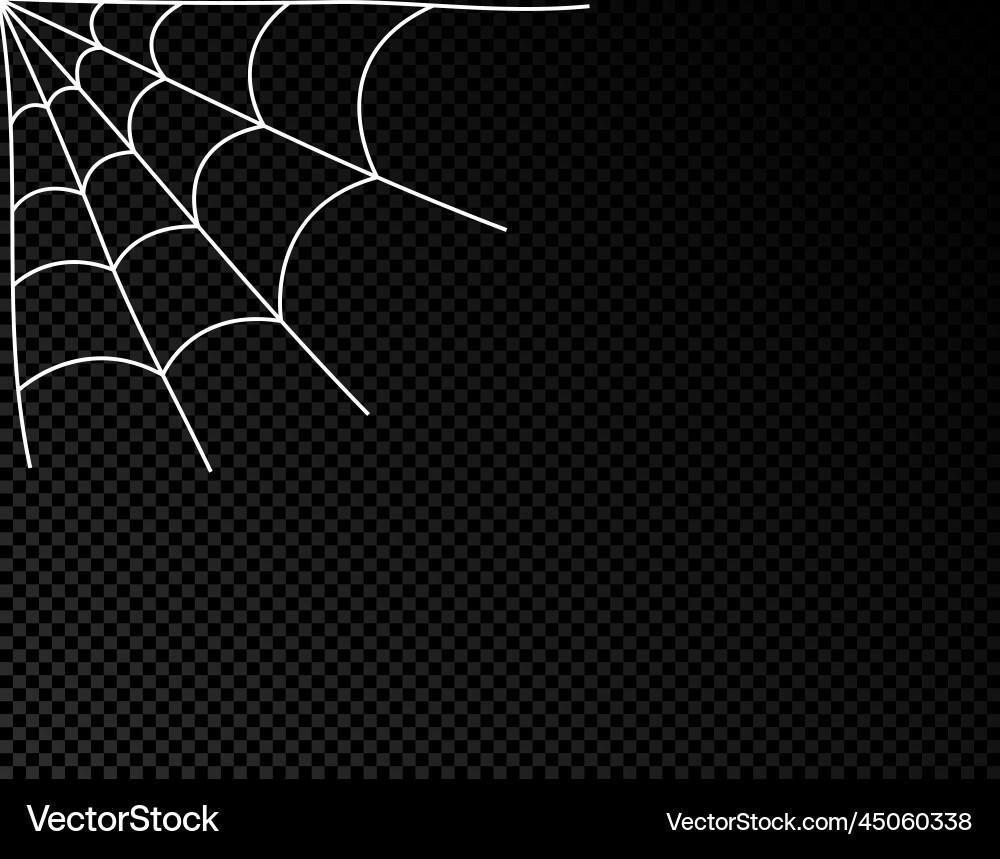 Spider web cobweb icon doodle spiderweb Spider web cobweb icon doodle spiderweb vector image