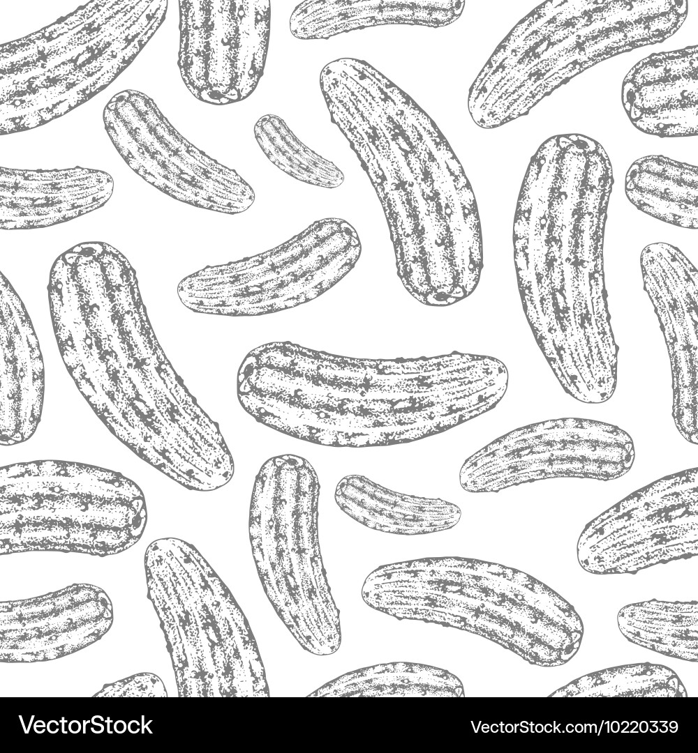 Cucumber Pattern - Botanical Sketch vector image