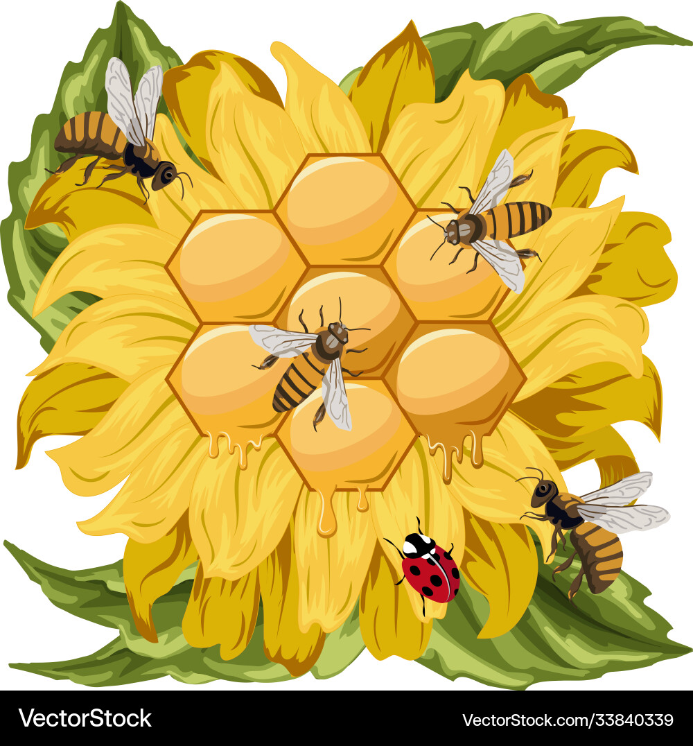 Sunflowers and bees Sunflowers and bees vector image
