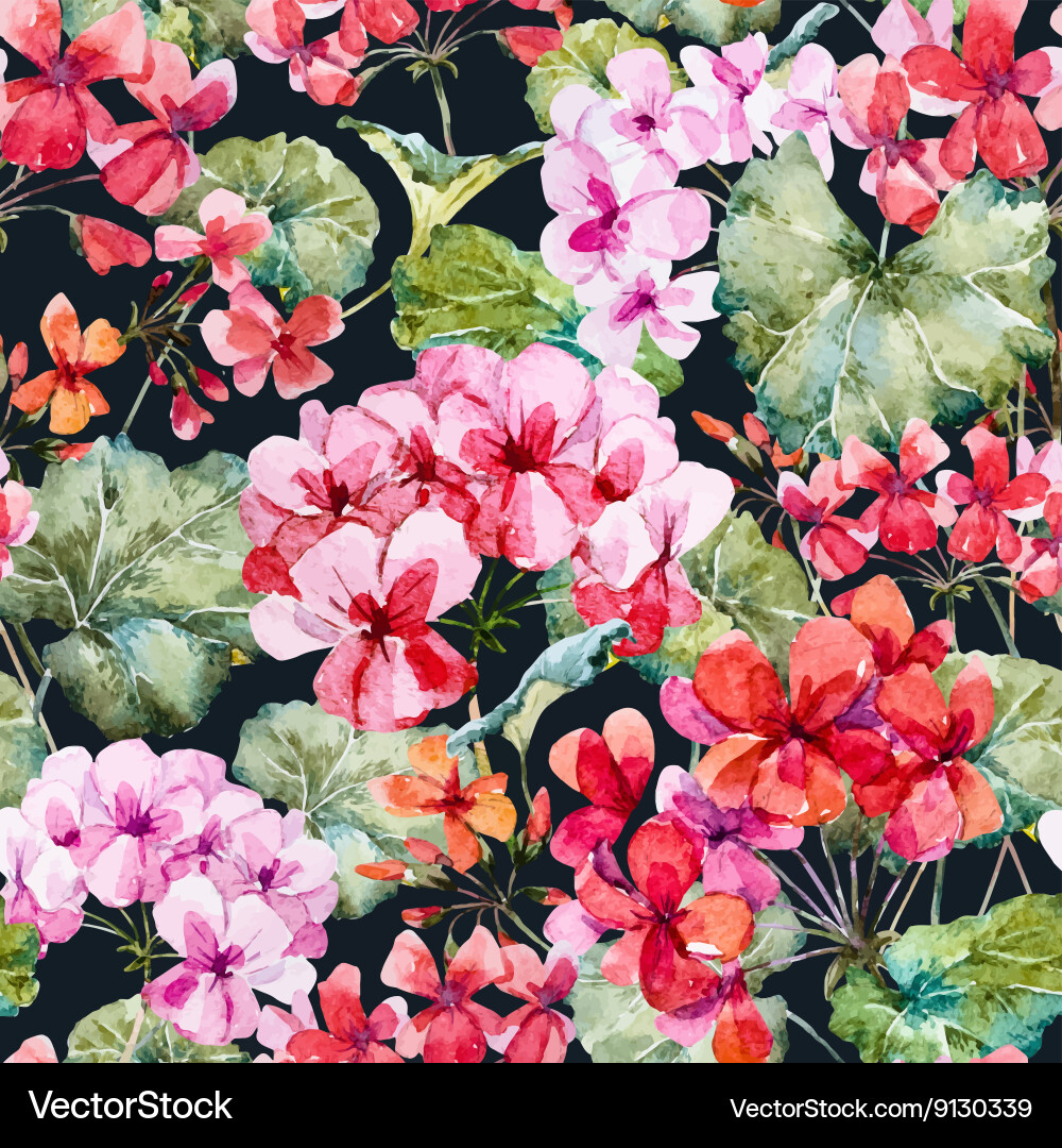Watercolor Geranium Pattern Vector Image