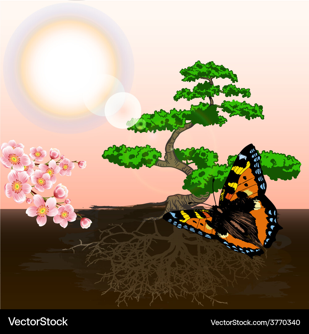 Spring background bonsai and cherry Vector Image