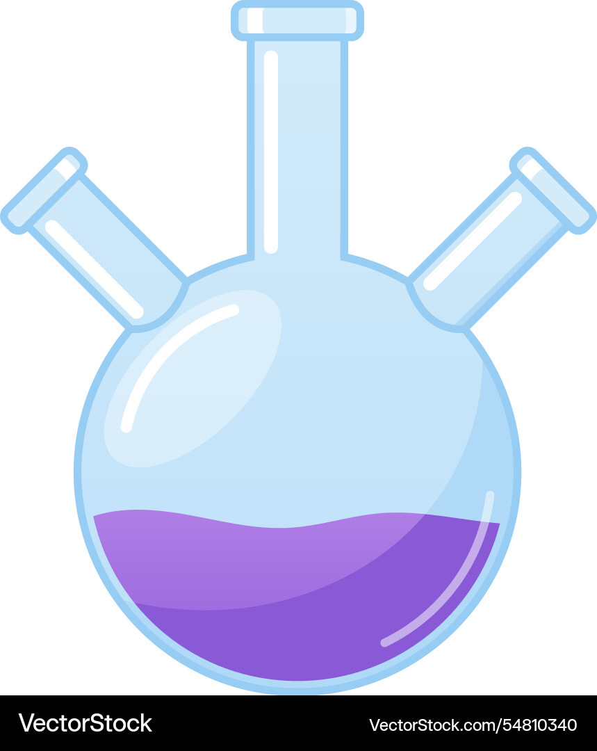 Three necked round bottom flask vector image