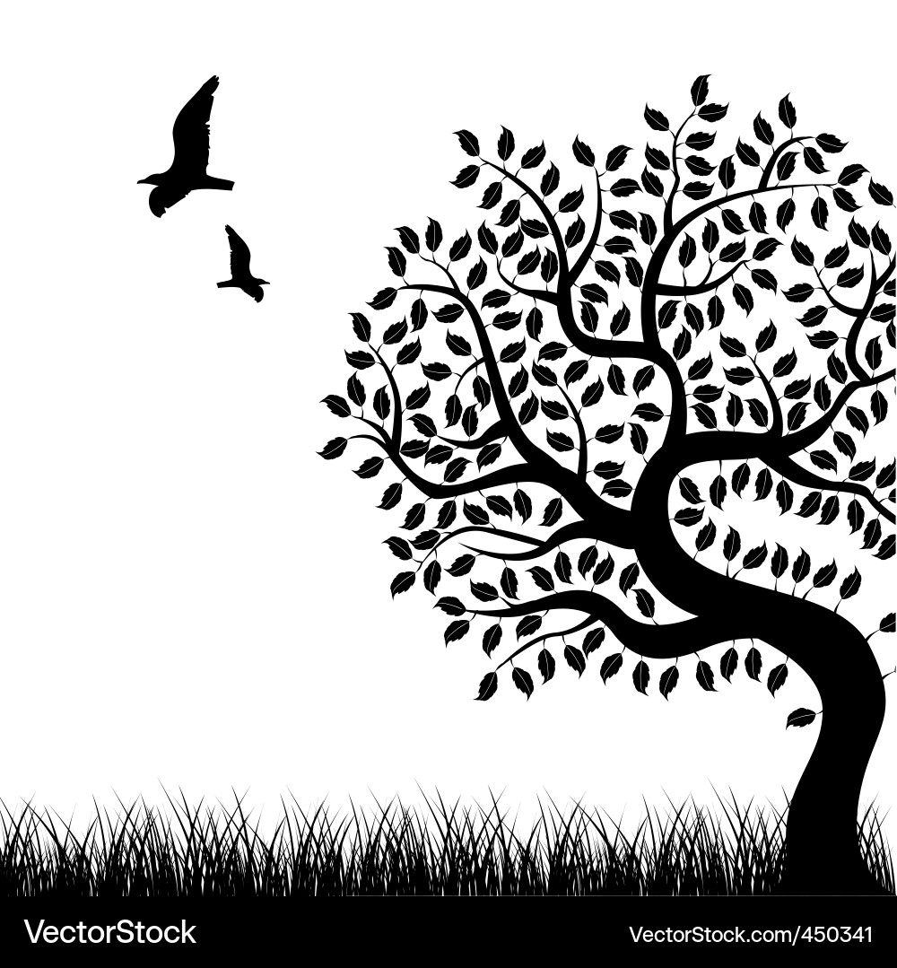 Elegant Silhouette Tree Vector Image