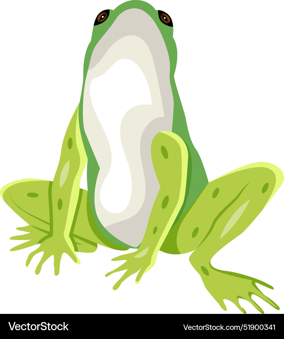 Weba flat style icon of grass frog Vector Image