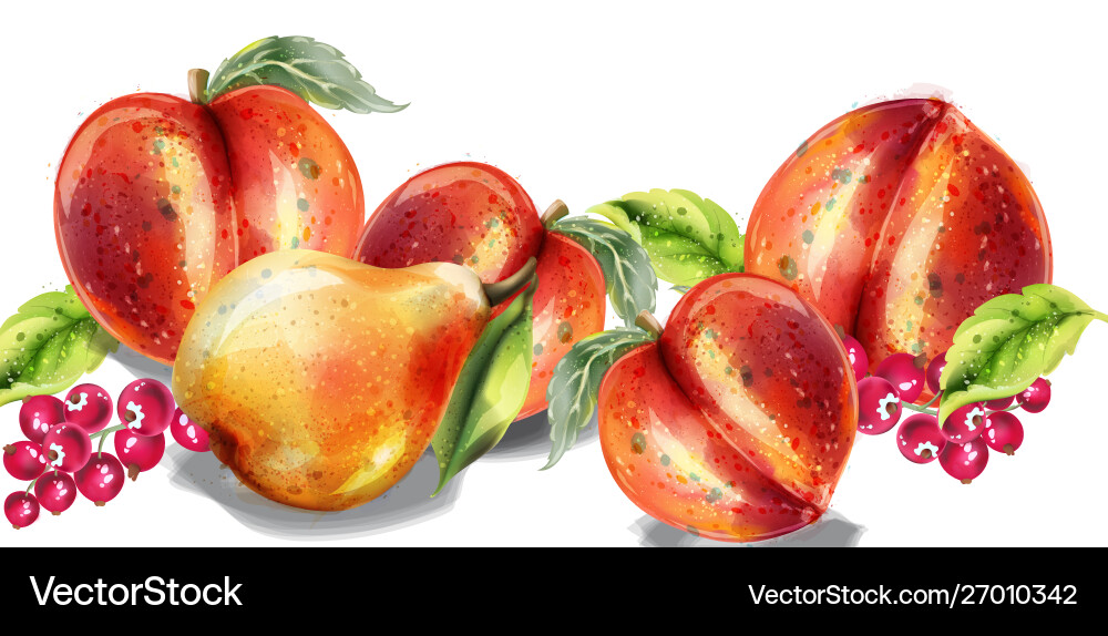 Apfel Birne und Pfirsich Aquarell Set bunt Apfel Birne und Pfirsich Aquarell Set bunt vektorbild