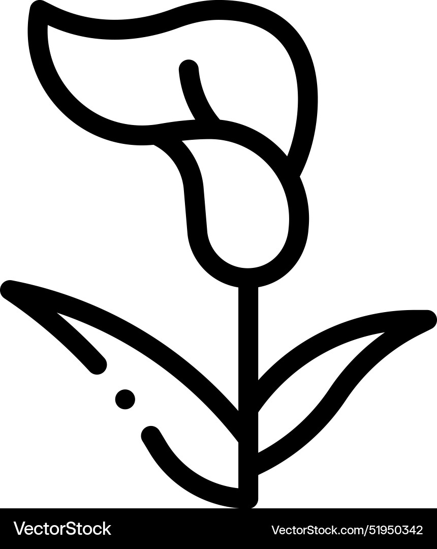 Calla lily icon thin linear style design isolated Vector Image