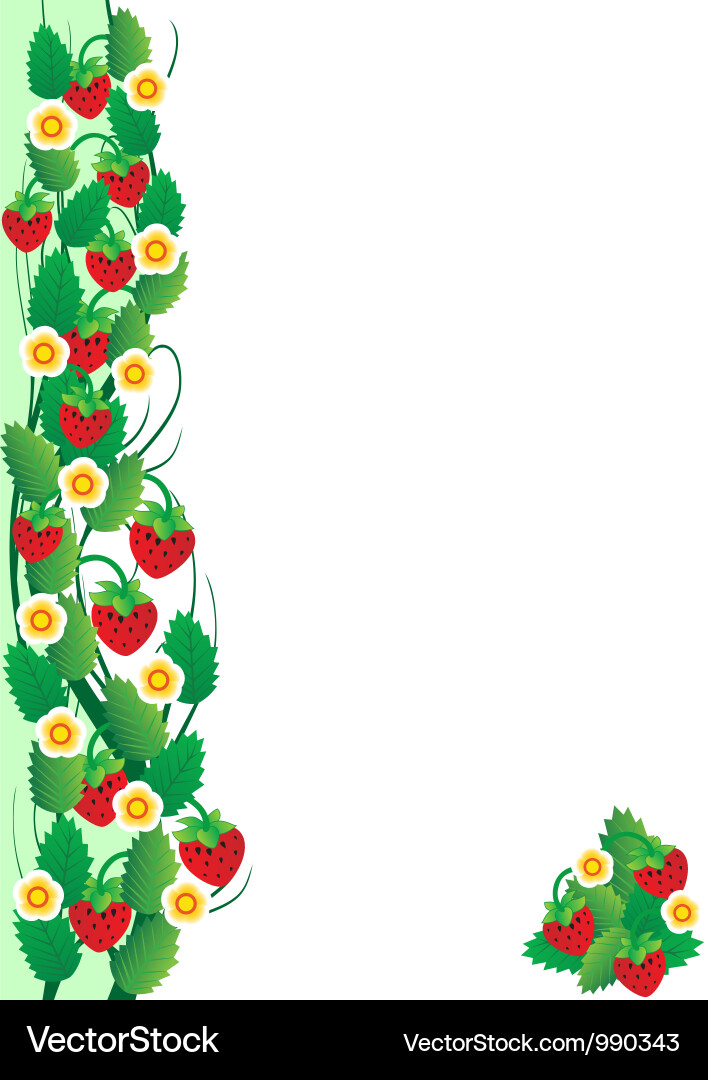 Strawberries Royalty Free Vector Image - VectorStock