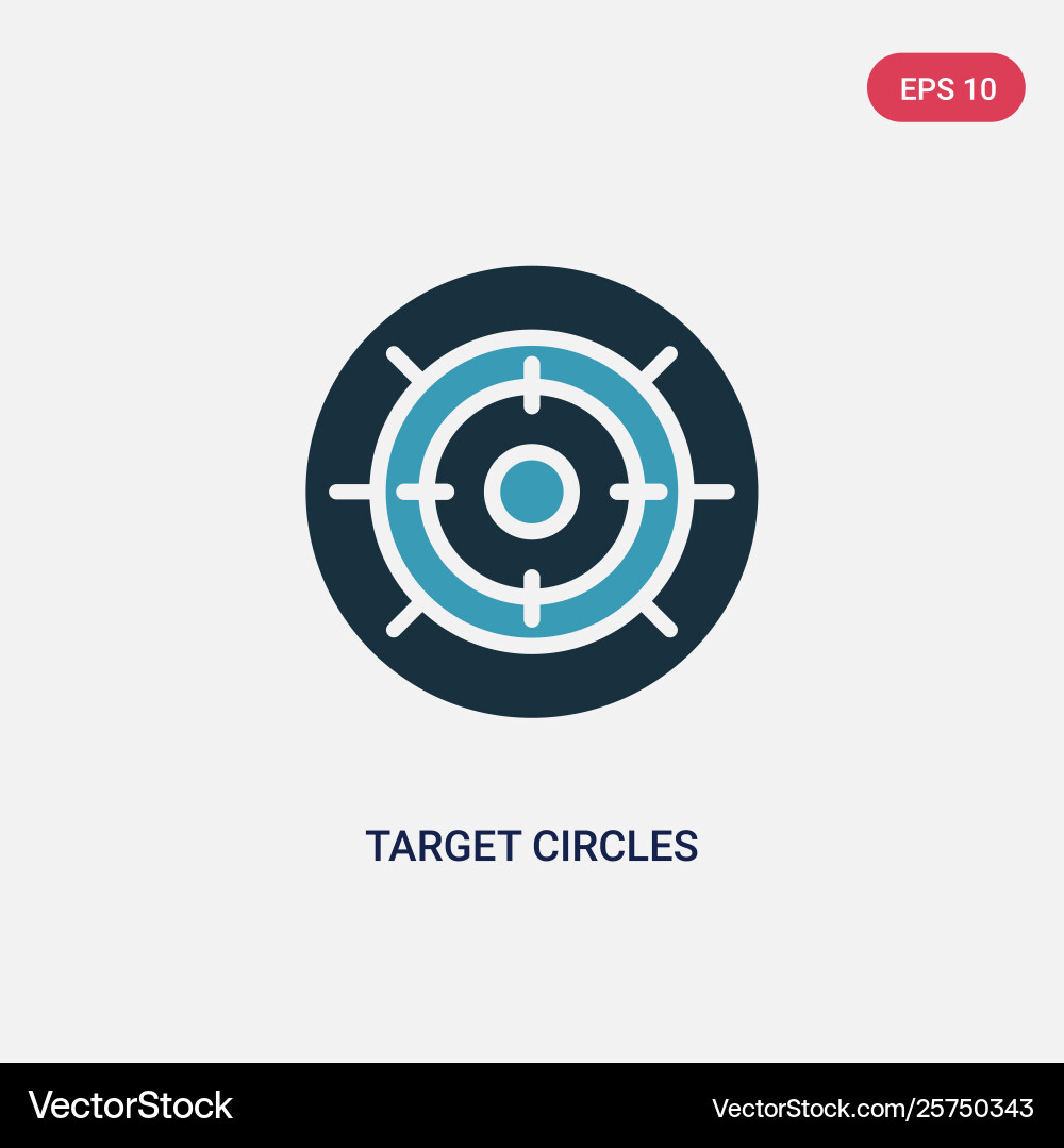 Two color target circles icon from tools vector image