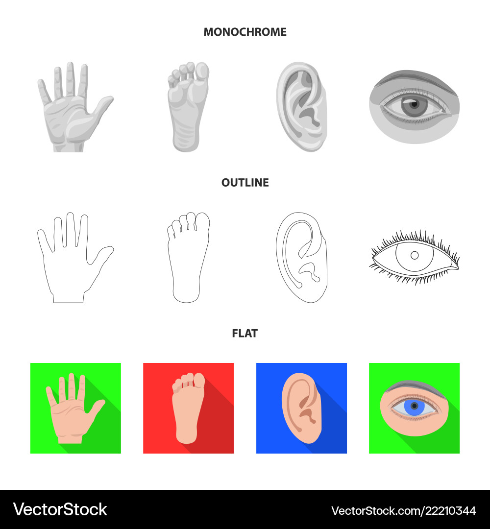 Design of human and part icon collection Design of human and part icon collection vector image